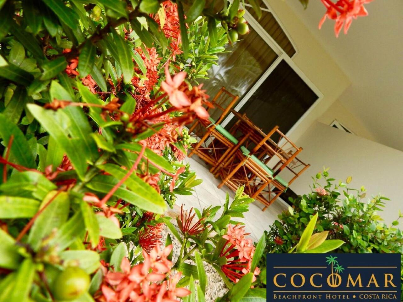 Cocomar Beachfront Hotel Quepos Bagian luar foto