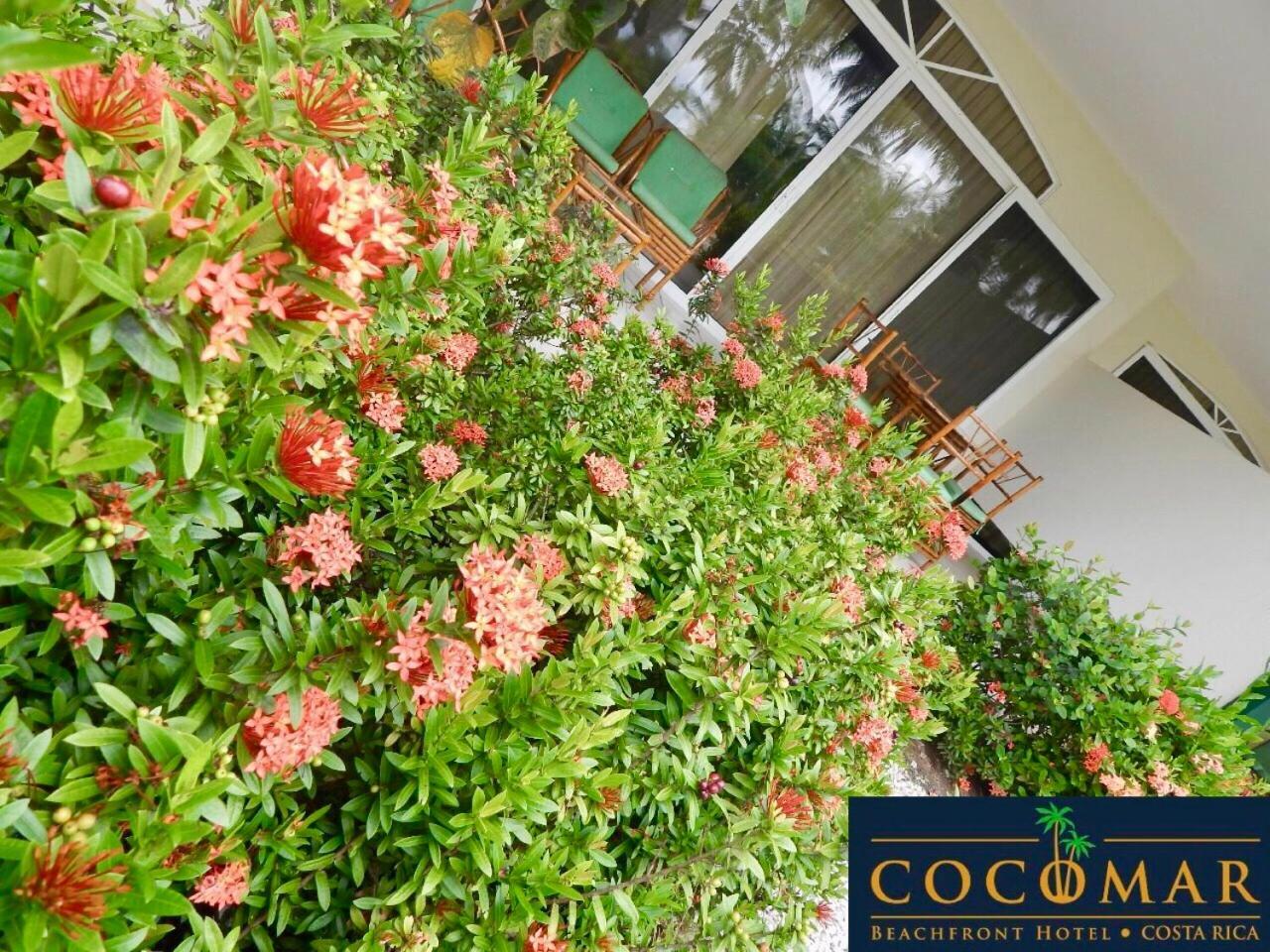 Cocomar Beachfront Hotel Parrita Bagian luar foto